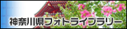 �_�ސ쌧�t�H�g�M�������[